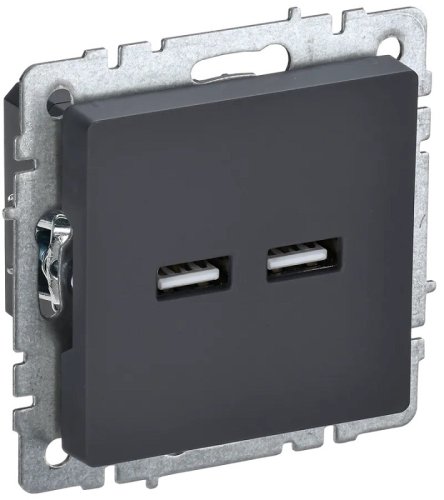 Розетка USB тип A+A без рамки IEK Brite РЮ10-1-БрГ 2-м. 3100мА графит фото Розетка USB тип A+A без рамки IEK Brite РЮ10-1-БрГ 2-м. 3100мА графит картинка